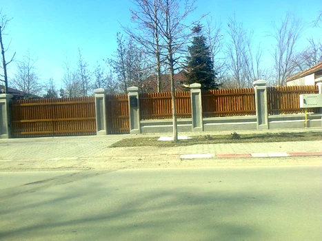 palat liviu dragnea