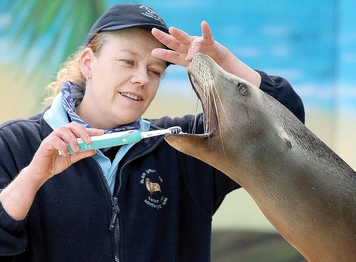 
    Îngrijitoarea a avut grijă să-i împrospăteze respiraţia lui Poppy  