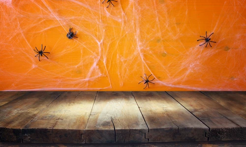 2 shutterstock 477979321 jpg jpeg