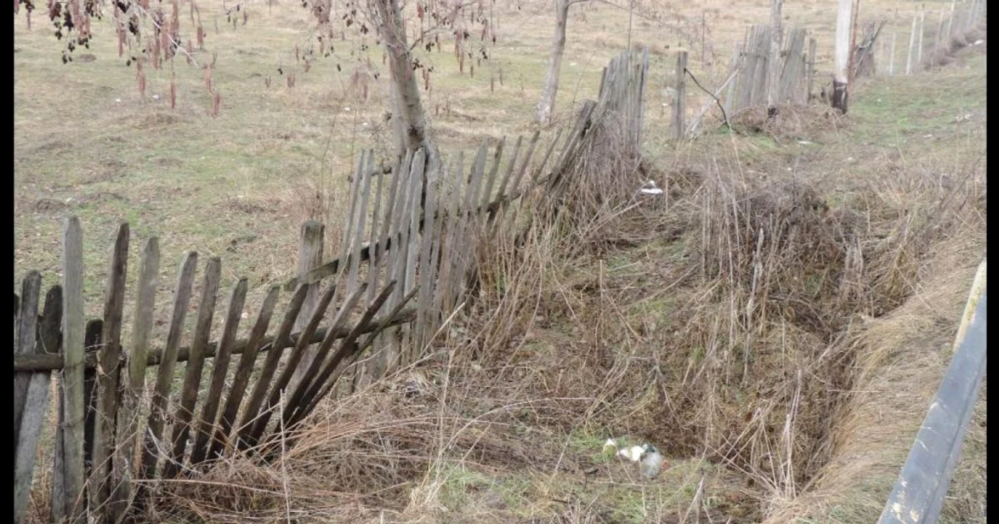 gospodarii neingrijite corbi 01