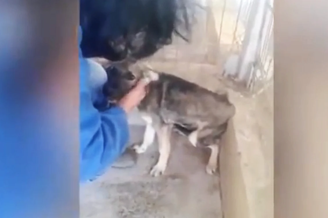 
    Priscilla a fost abuzată de-a lungul anilorfoto: captură video  