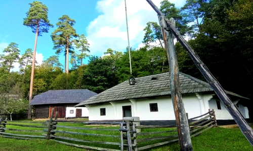 1 77700 original jpg jpeg