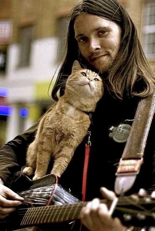 Motanul Bob şi James Bowen au devenit cei mai buni prieteni. (sursa foto: bookaholic.ro)