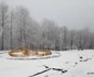 sarmizegetusa regia foto daniel guta adevarul