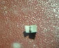 luceafarul in miniatura