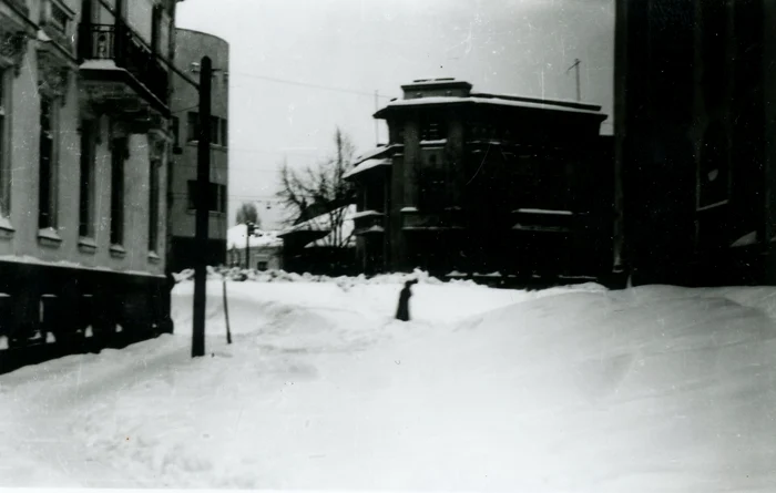 Stradă din București acoperită de troine în februarie 1954