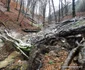 Valea Tatausului Foto Daniel Guță ADEVĂRUL (33) jpg