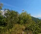 Cetatea dacică Bănița  Foto Daniel Guță  ADEVĂRUL (54) jpg