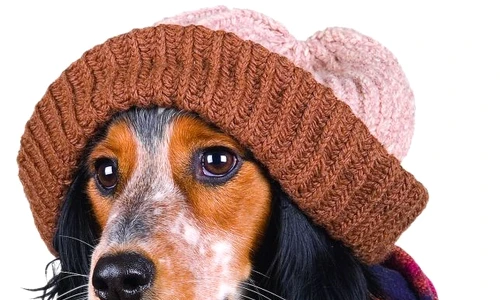 1 46762 original jpg jpeg