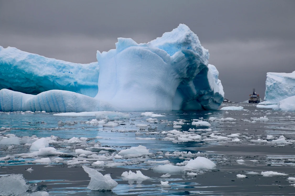 Antarctica este singurul continent unde nu se cultivă porumb