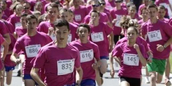 calarasi sport