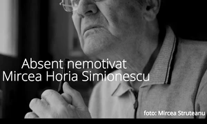 Absent nemotivat #2 jpeg