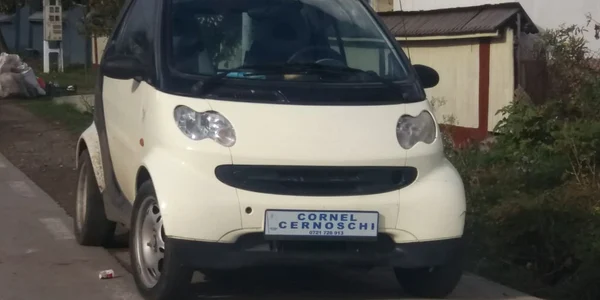 cornel cernoschi urmasul lui stefan cel mare 