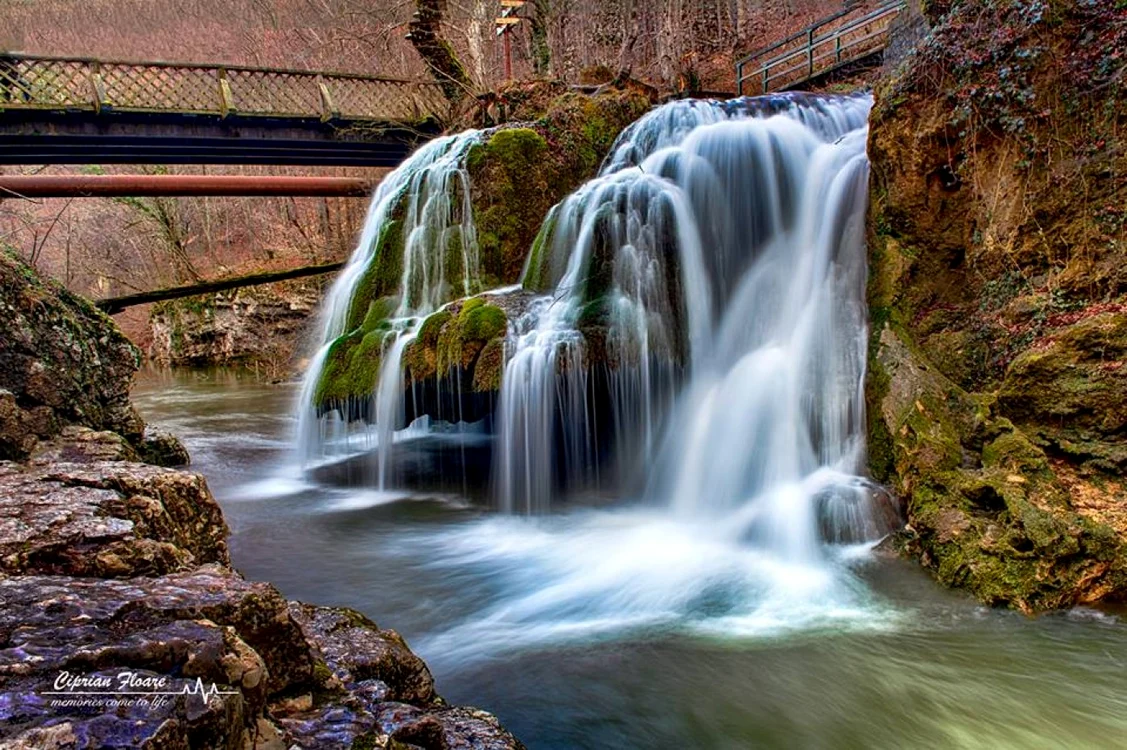FOTO Ciprian Floare