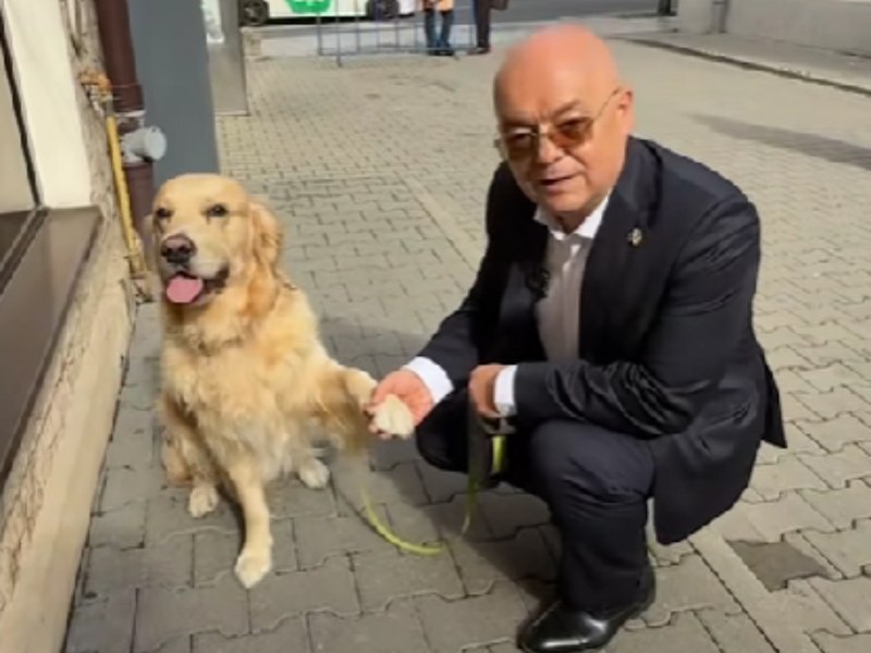 Clujenii pot intra cu animalele de companie în clădirea Primăriei. Ce reguli trebuie să respecte