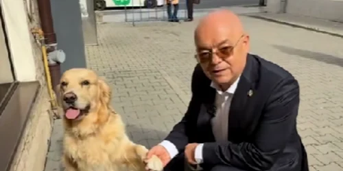 emil boc anuntand ca clujenii pot intra cu animalele de companie in primarie foto captura video png