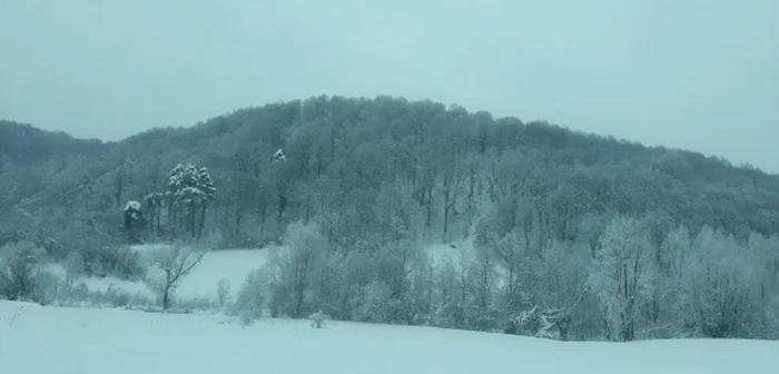 Iarna în Maramureş Foto: Angela Sabău