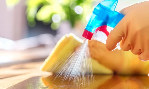 curatenie  shutterstock 1626450310 jpg