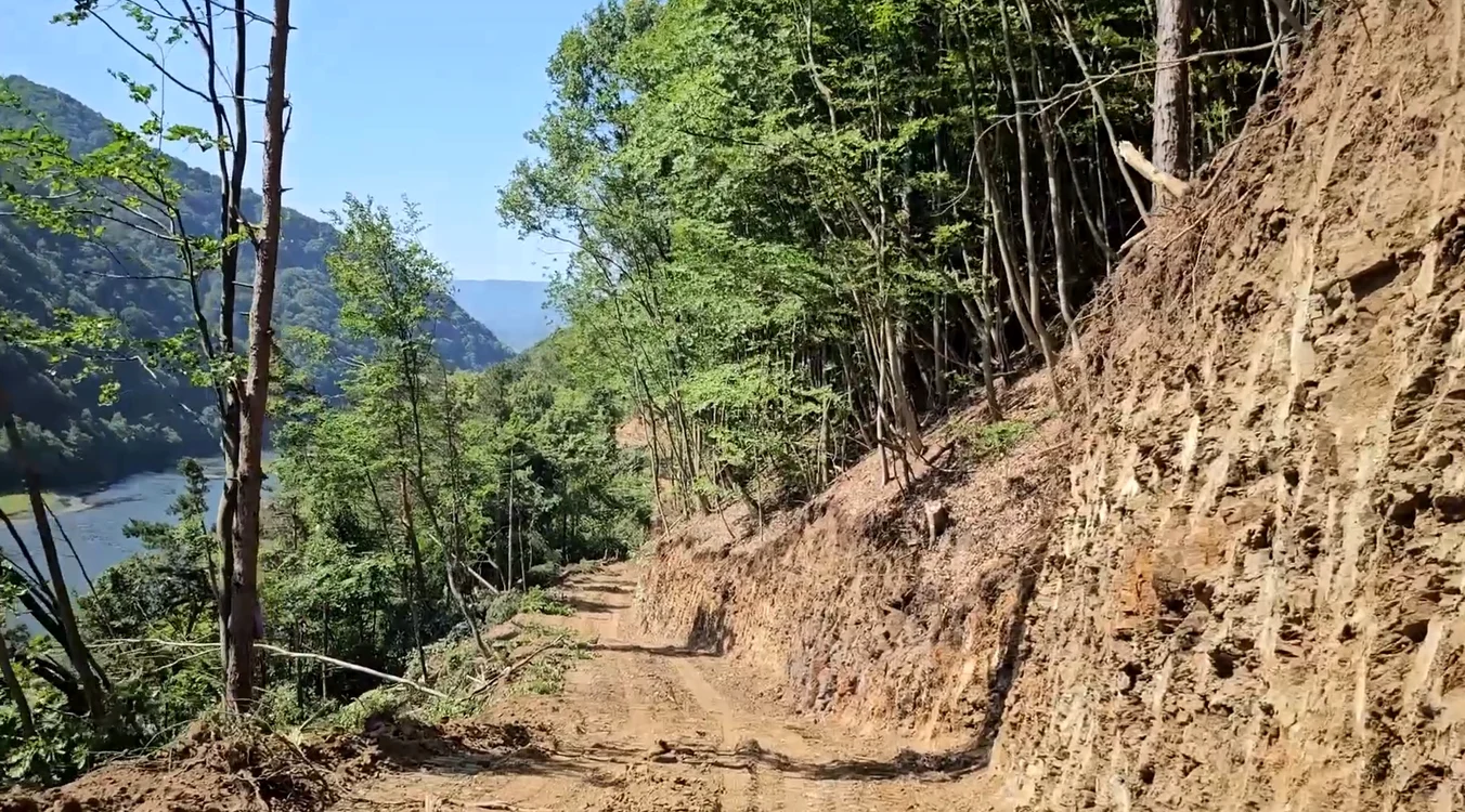 Defrișările de pe Valea Oltului pe Lot 2 Boița Cornetu pentru Autostrada Sibiu Pitești Capturăvideo