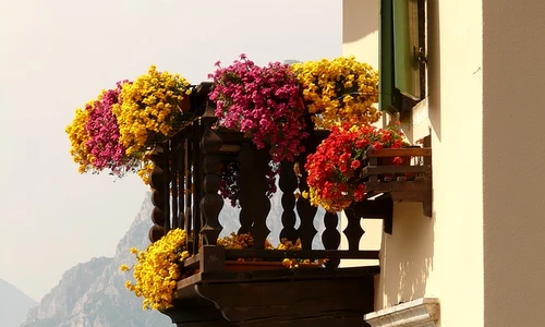 1 64365 original jpg jpeg