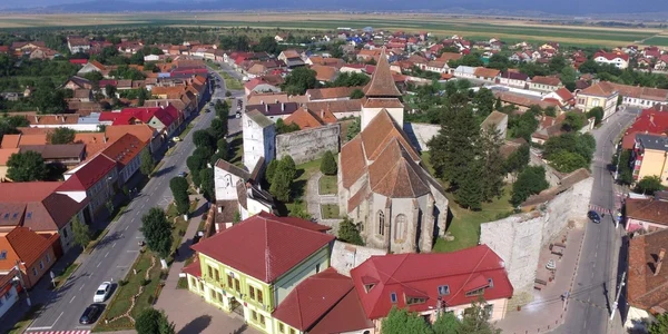 Ghimbavul va fi în sărbătoare în weekend FOTO wikipedia