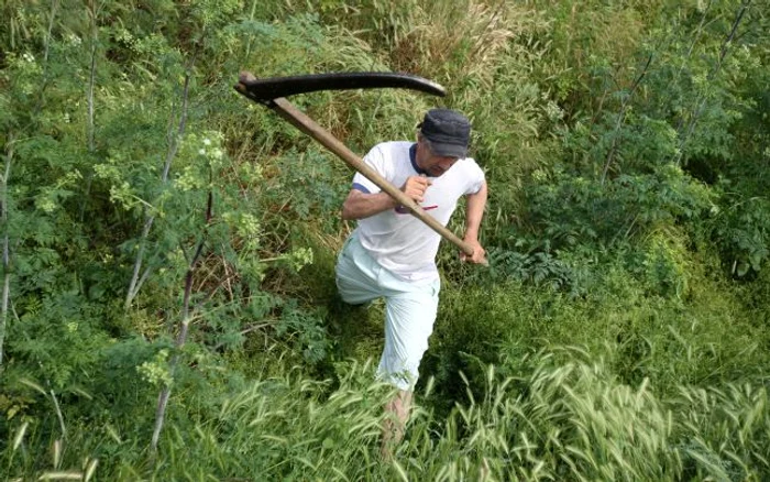 Teroare în comuna Cuza Vodă: un şarpe uriaş a băgat spaima în localnici