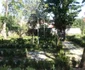 parcul municipal 18