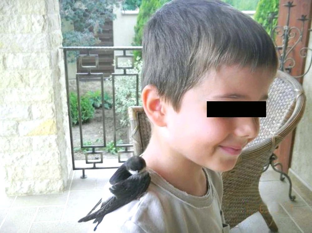 Pe umărul fiului său s-a aşezat acum câţiva ani o pasăre