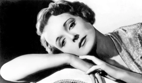 1 profimedia 0587415944 jpg jpeg