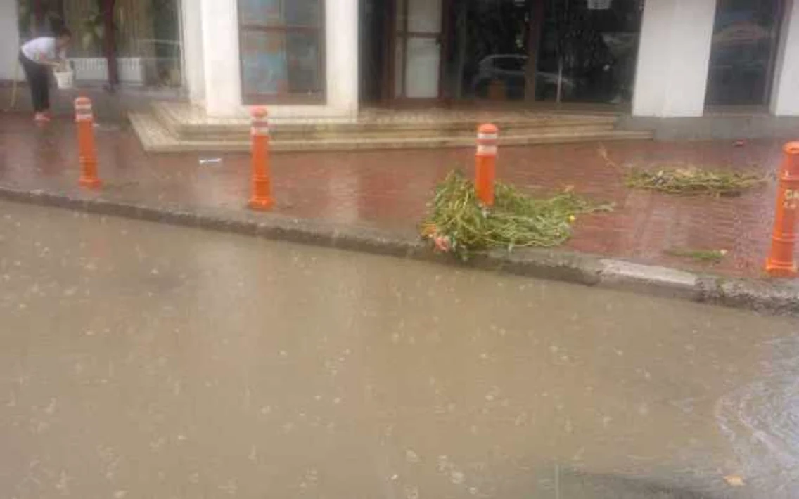 tulcea ploaie