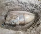 Două statui colosale, vechi de peste 3.000 de ani, descoperite în Egipt 