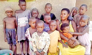 Mariam îşi creşte singură zecile de progenituri jpeg