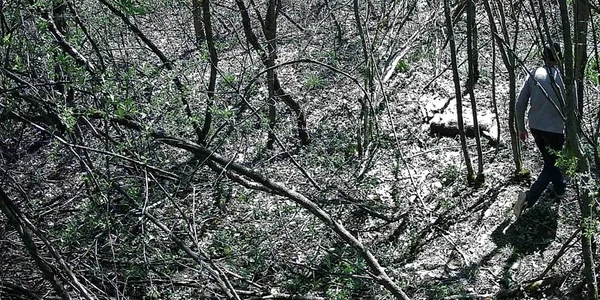 foto 1 jpg