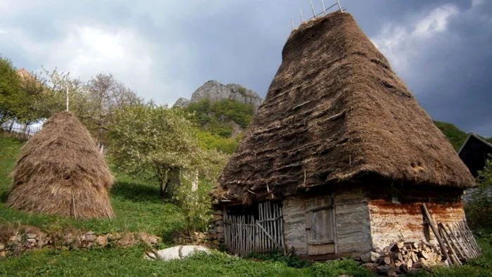 apuseni vidra alba