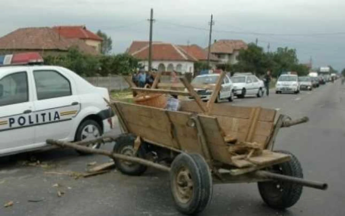 Lemnul era transportat cu căruţele. FOTO Adevărul