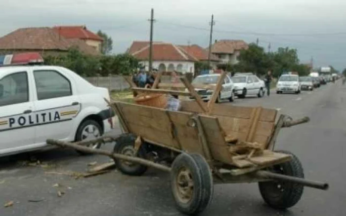 Lemnul era transportat cu căruţele. FOTO Adevărul