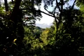 bwindi impenetrable forest 355180 1280 jpg