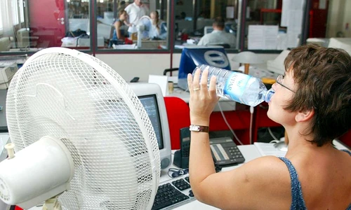 Canicula în Codul Muncii jpeg