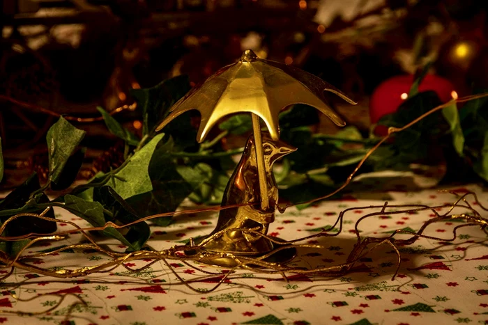 12 201912 principesa sofia foto craciun savarsin 16 copy jpg jpeg