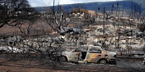 Incendiu in Hawaii FOTO Profimedia jpg