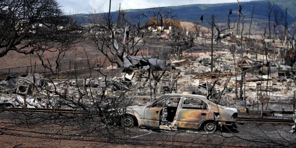 Incendiu in Hawaii FOTO Profimedia jpg