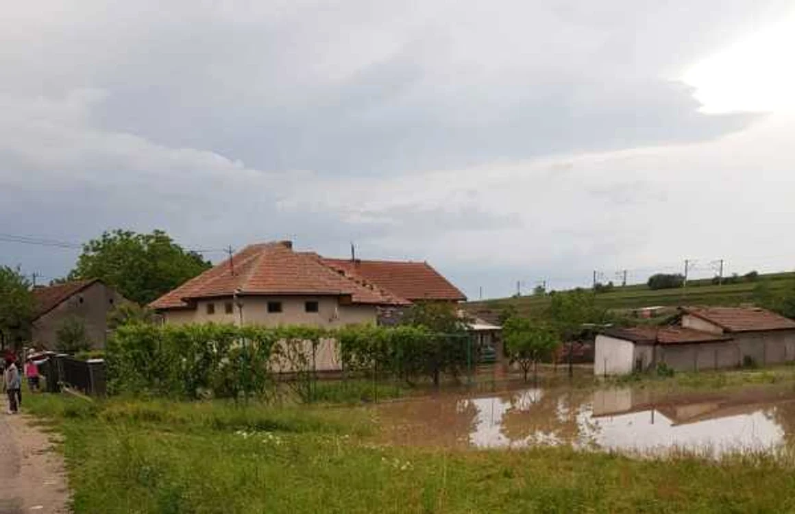 inundatii alba
