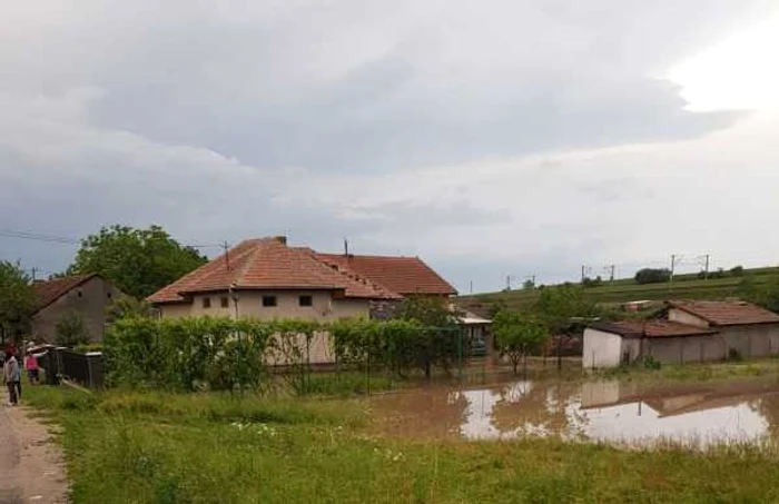 inundatii alba