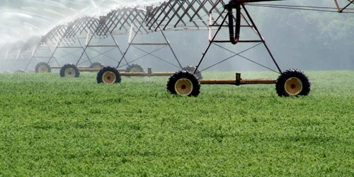  Irigarea terenurilor joacă un rol esenţial în agricultură Foto: Adevărul