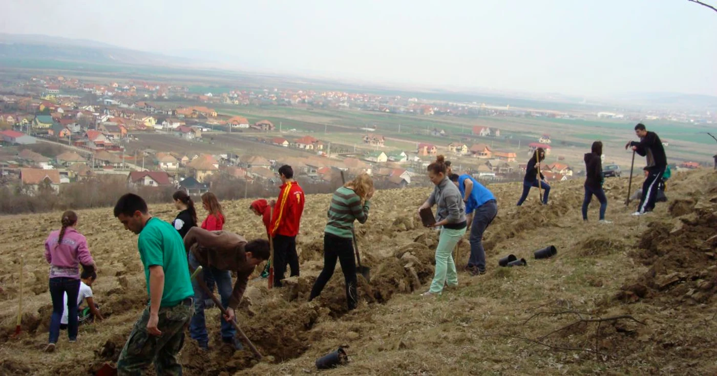 Voluntarii sunt aşteptaţi sâmbătă la Tăureni pentru a planta în jur de 10.000 de puieţi