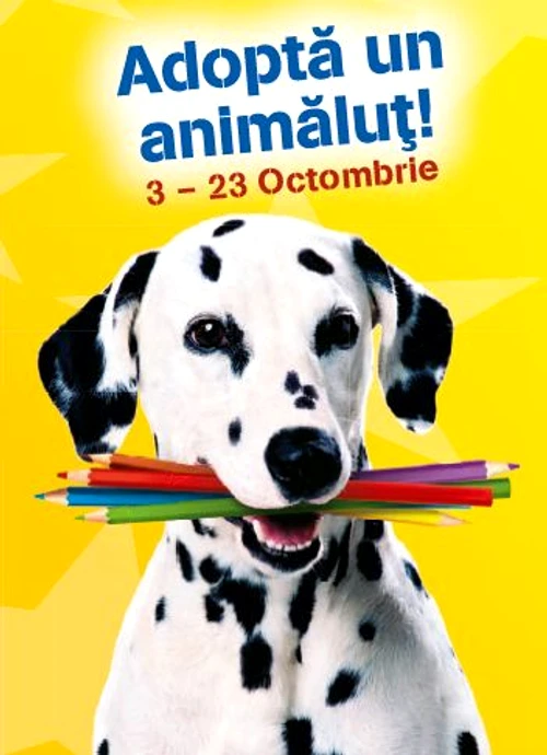 adopta un animalut jpeg