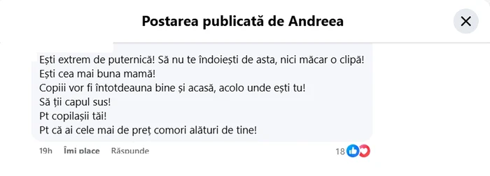 Comentariul de la postarea cu apartamentul - Foto: Facebook