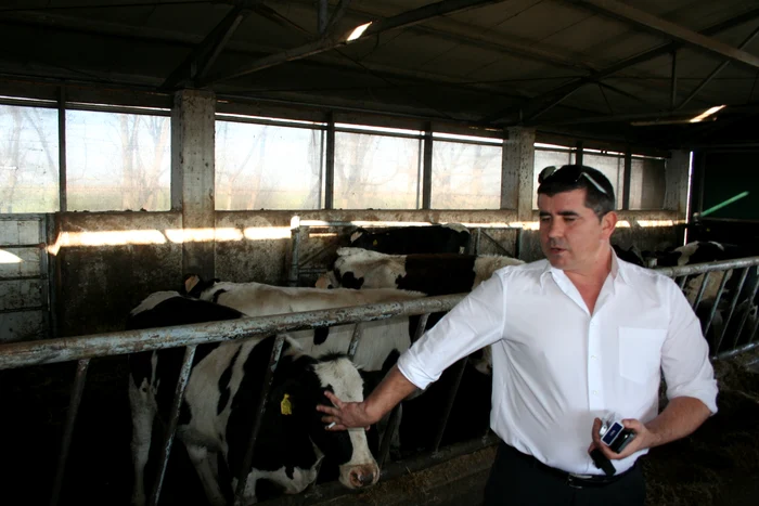 Viorel Macovei, proprietarul fermei bio FOTO: Ștefan Borcea