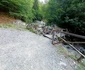 Intrare pe traseul către Cascada Scoruș din Malaia Vâlcea Foto Daciana Stoica