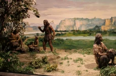 humans ate plant foods 1 webp